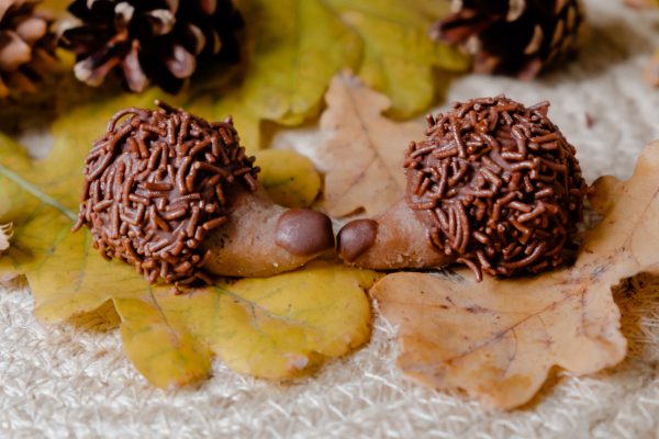 Rezept für den Herbst: Cookie Dough Igel