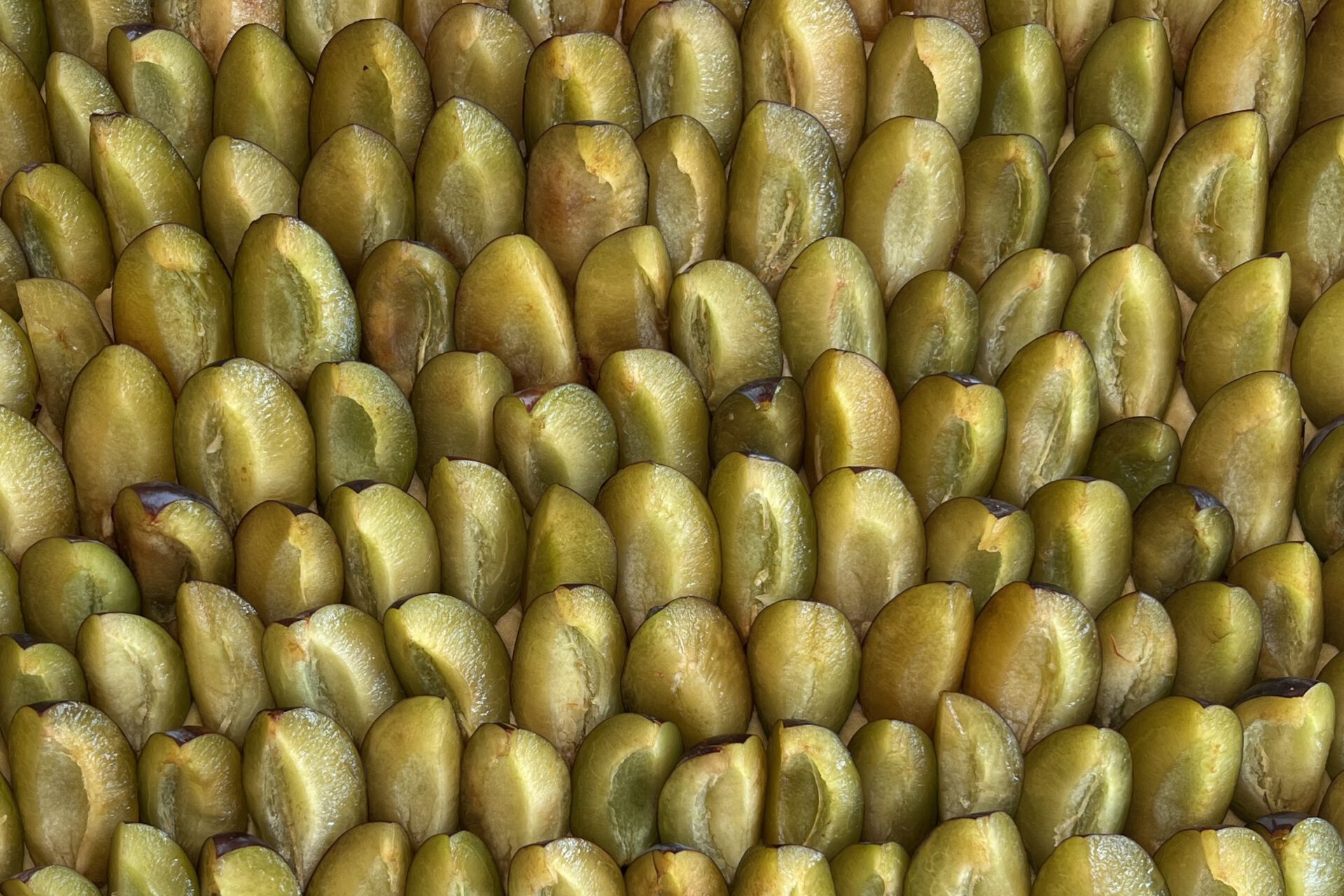 Zwetschgendatschi mit Streusel (ohne Hefe) – Food Blog ninastrada Zwetschgendatschi mit Streusel (ohne Hefe) – Food Blog ninastrada